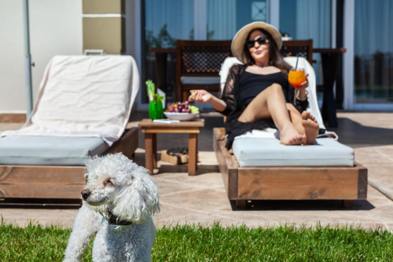 Sunny & חניוטי